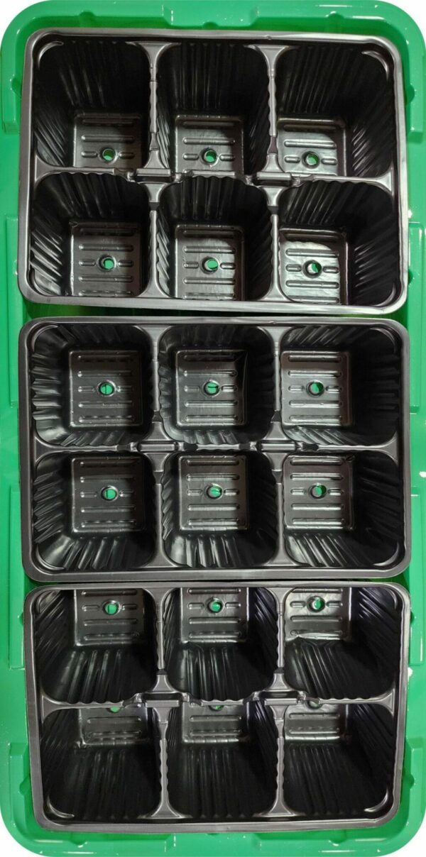Мини-парник пластмассовый 18 ячеек INGREEN зеленый (ING60011F) купить в сети строительных магазинов Мастак