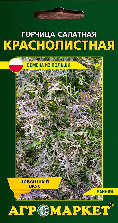 Семена горчицы салатной краснолистной LEGUTKO 1 г (30287) купить в Мастак me1} купить в сети строительных магазинов Мастак