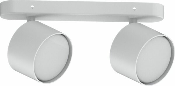 Светильник настенно-потолочный FERON ML212 GX53 2х15 Вт белый (41476) купить в сети строительных магазинов Мастак