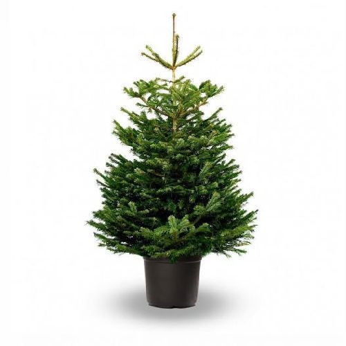 772c8e116330ab5878c373e2f239d429